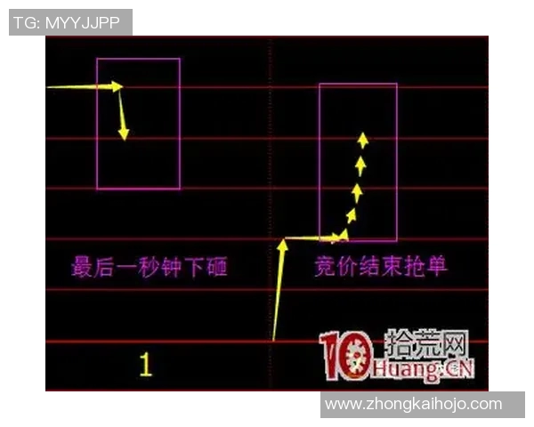 南京羽毛球队战术分析与发展策略的深度探讨 南京羽毛球队战术分析与发展策略的深度探讨