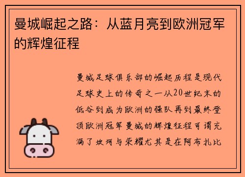 曼城崛起之路：从蓝月亮到欧洲冠军的辉煌征程